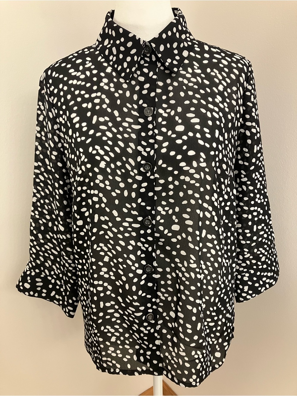 Kathy Che Sheer Button-Front Blouse in Black and White
